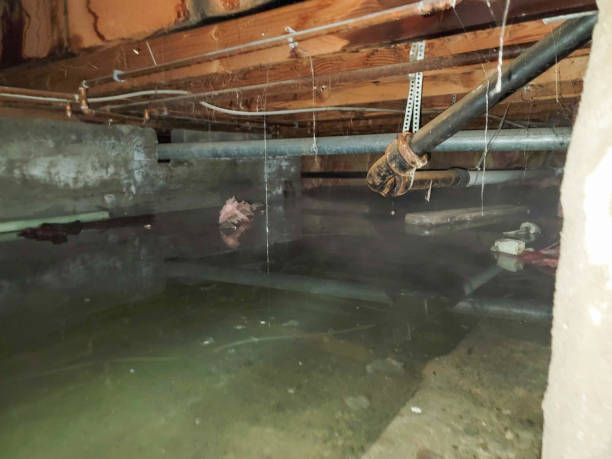 Best Emergency water damage restoration  in Del Mar, CA