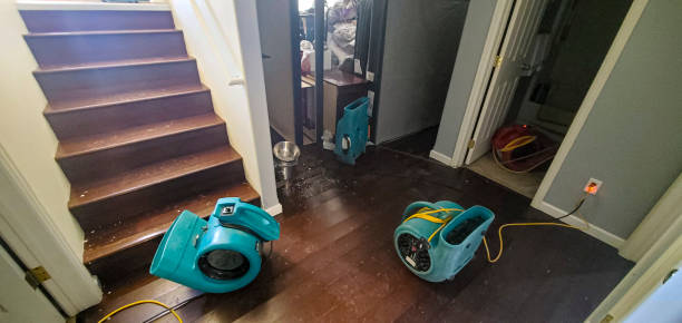 Best Water damage restoration near me  in Del Mar, CA