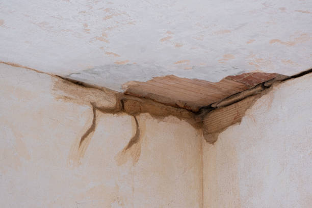 Best Water damage restoration experts  in Del Mar, CA