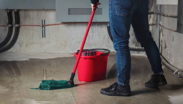 Best Water damage repair service  in Del Mar, CA