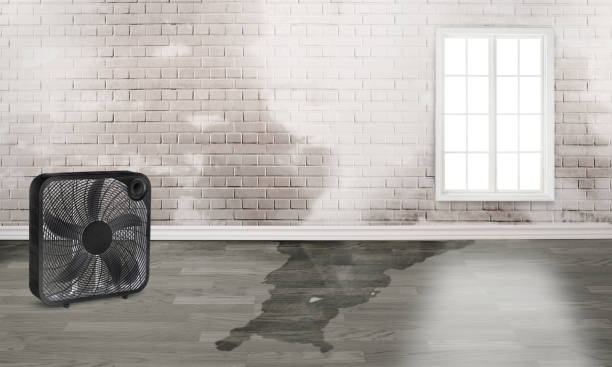Professional Water damage restoration in Del Mar, CA