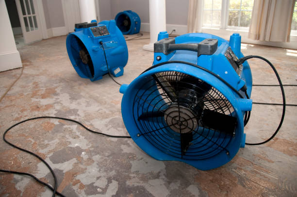  Del Mar, CA Water damage restoration Pros
