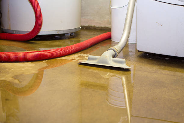 Best Local water damage restoration  in Del Mar, CA