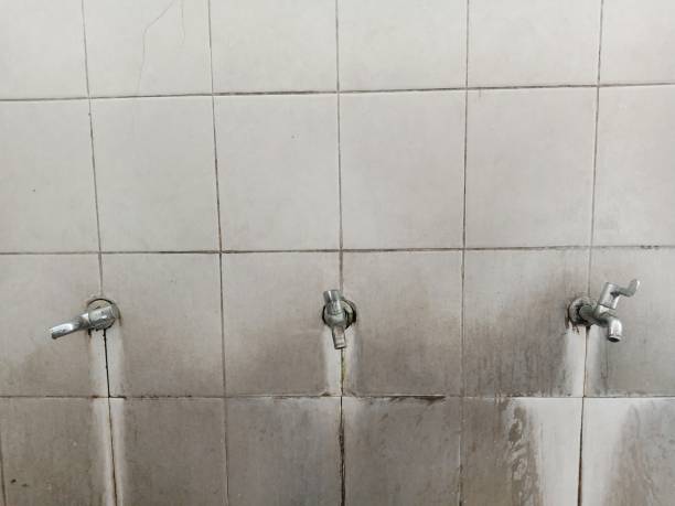 Best Water damage contractors near me  in Del Mar, CA
