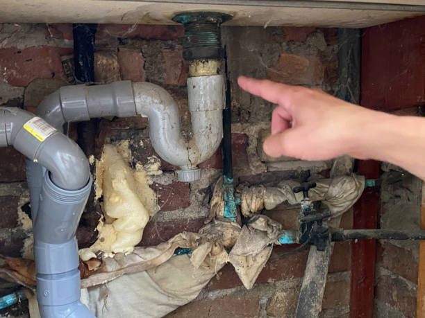 Best 24-hour water damage restoration  in Del Mar, CA
