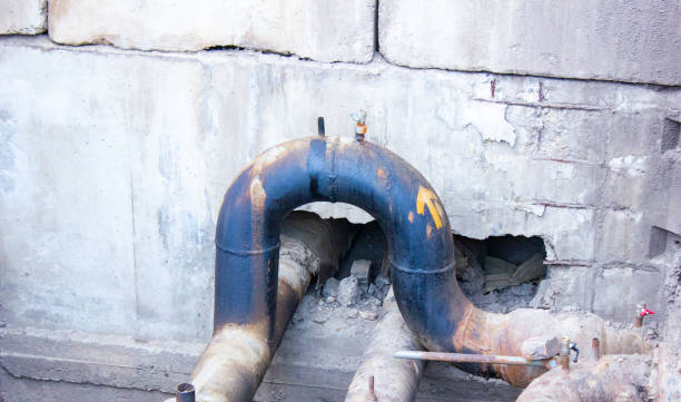 Best Water damage cleanup near me  in Del Mar, CA